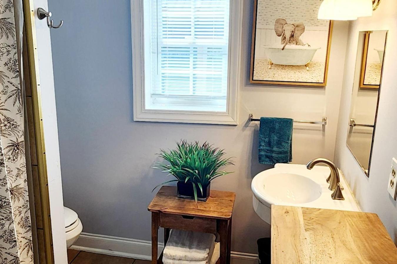 Charming Cute Convenient 2 Mi To Downtown And Uga Athens